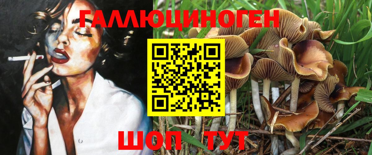 Фурманов  Галлюциногенные грибы Psilocybine cubensis  Псилоцибиновые грибы Psilocybine cubensis  Вход с VPN 