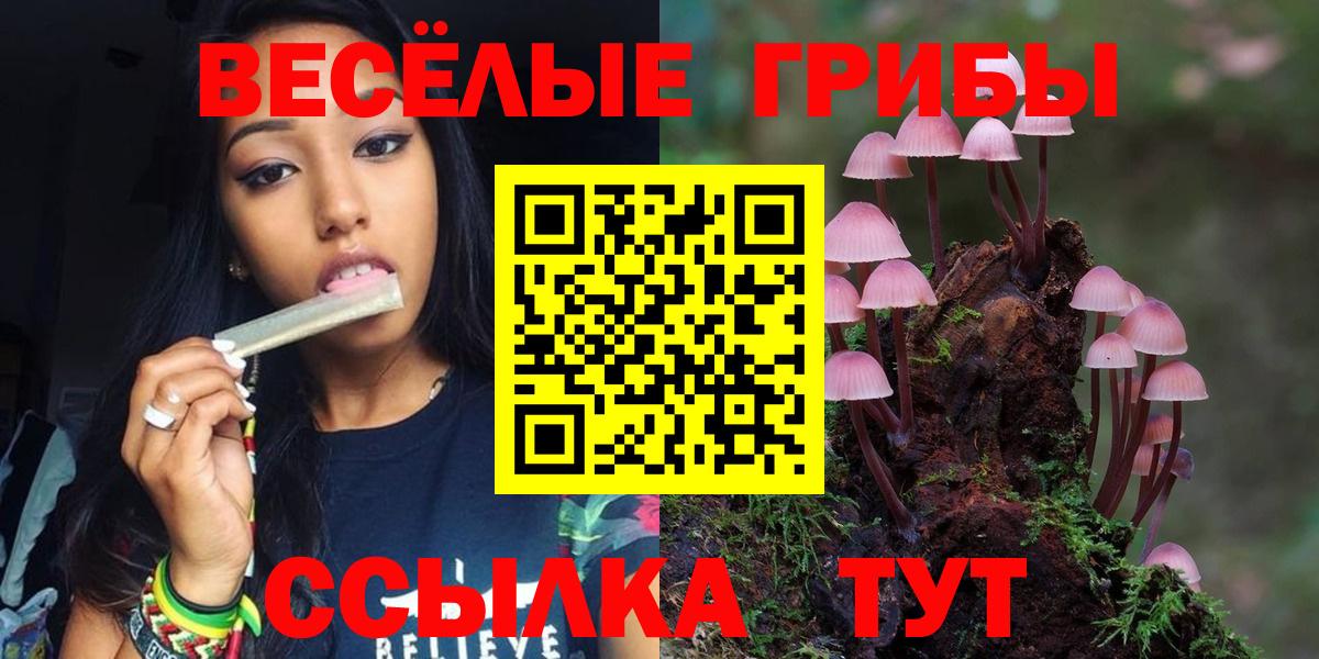 Галлюциногенные грибы Psilocybe Фурманов